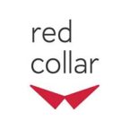 Digital-агентство Red Collar